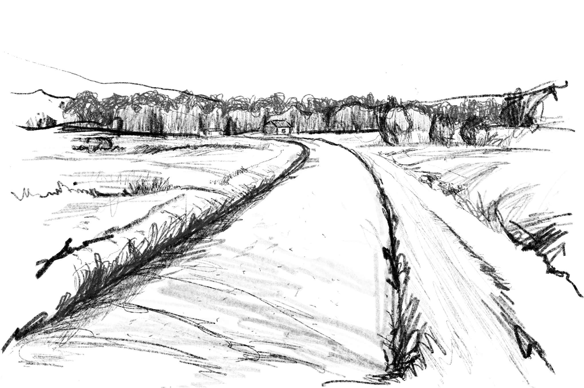 Country Landscape